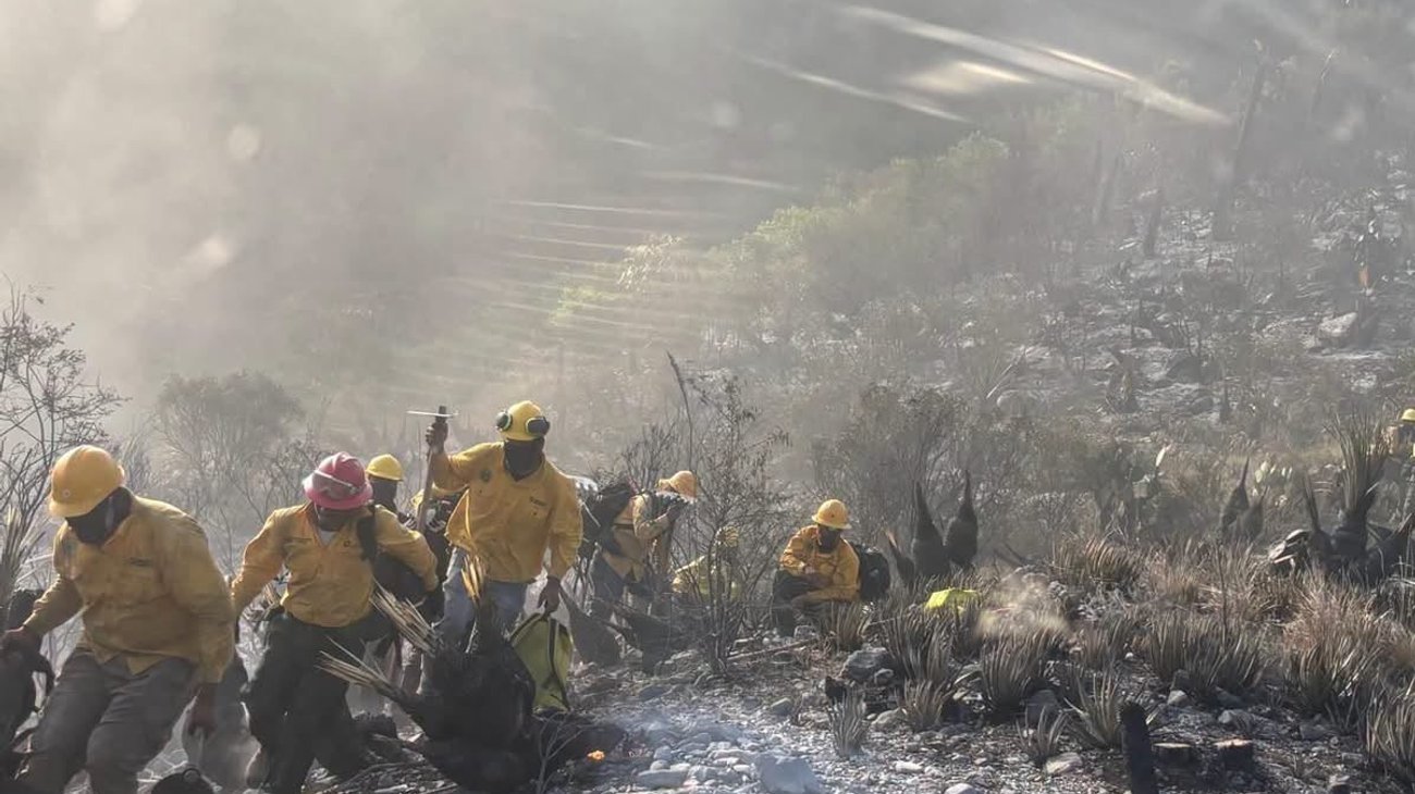 Controlan incendio forestal entre Múzquiz y San Buenaventura