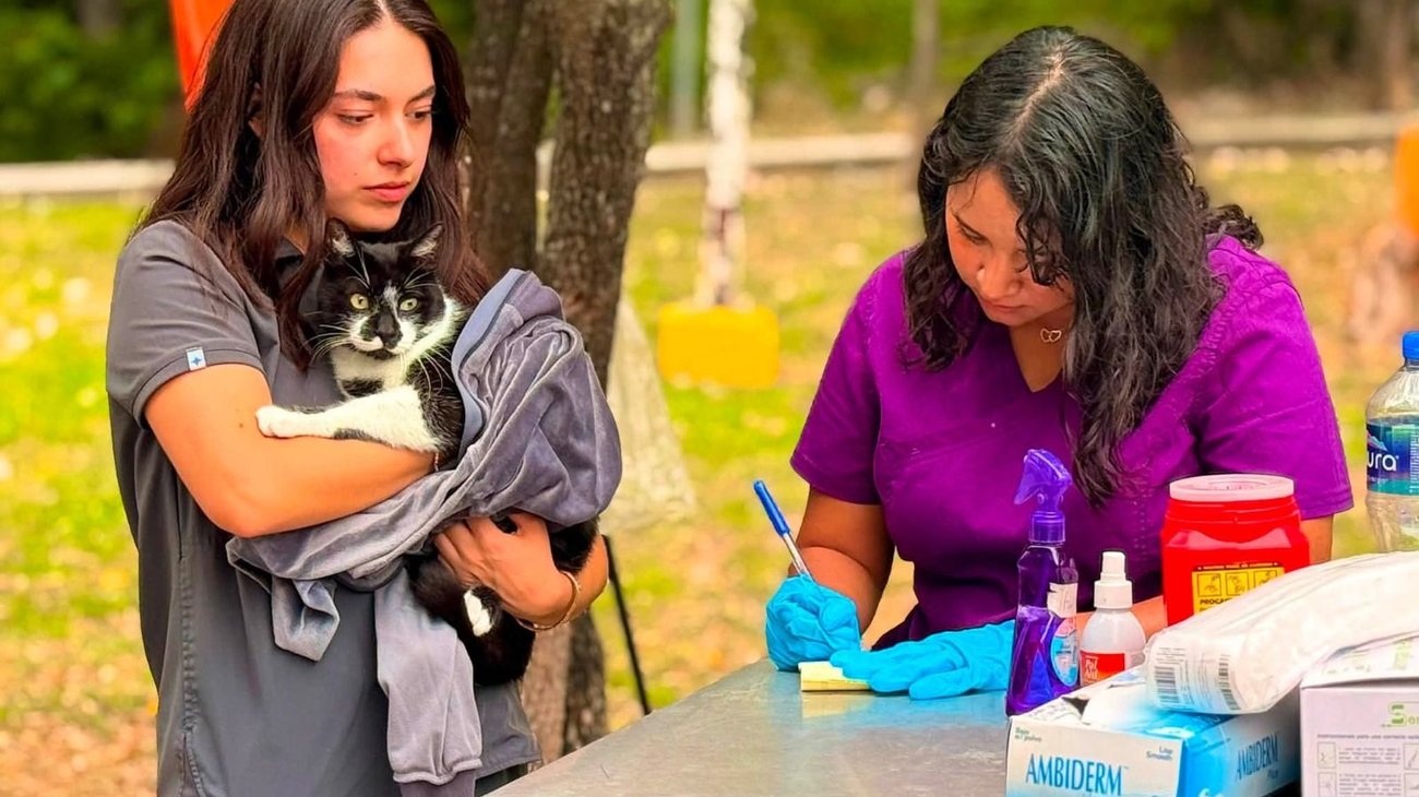 Acerca Guadalupe servicios veterinarios con Huellitas de Amor