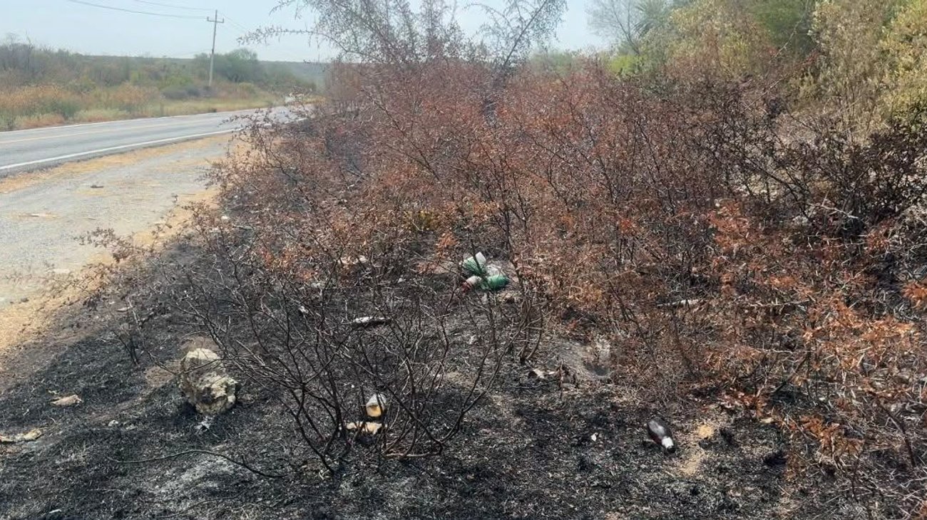  Fuego consume pastizales y afecta carreteras en Tamaulipas