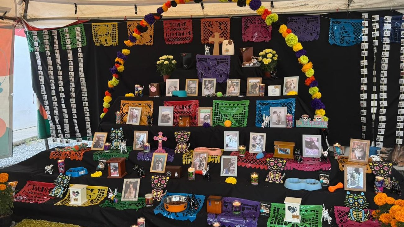 Escobedo instala altar comunitario para mascotas fallecidas