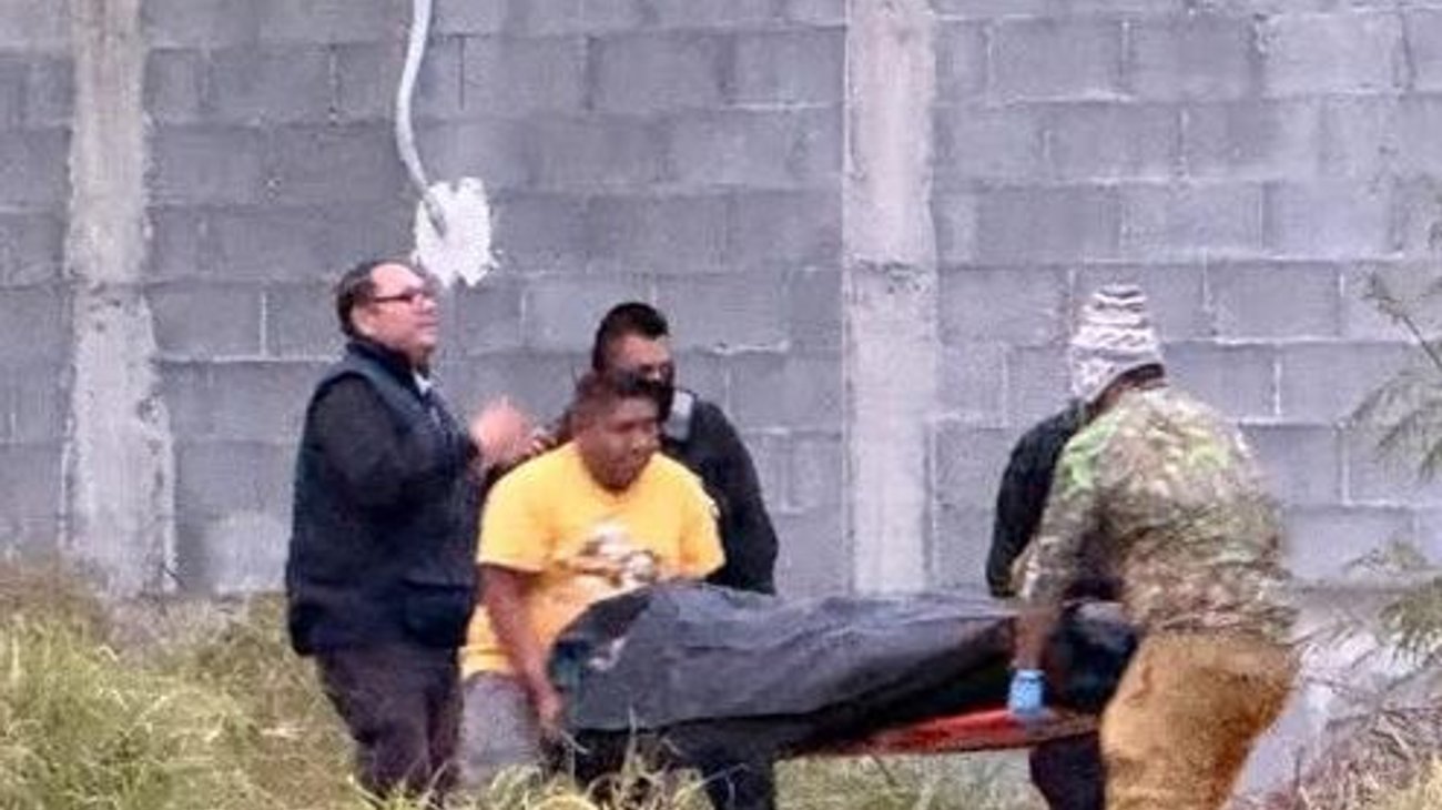 a176a566_1cec_459b_b48d_24e2d506d67e_e496dc8748