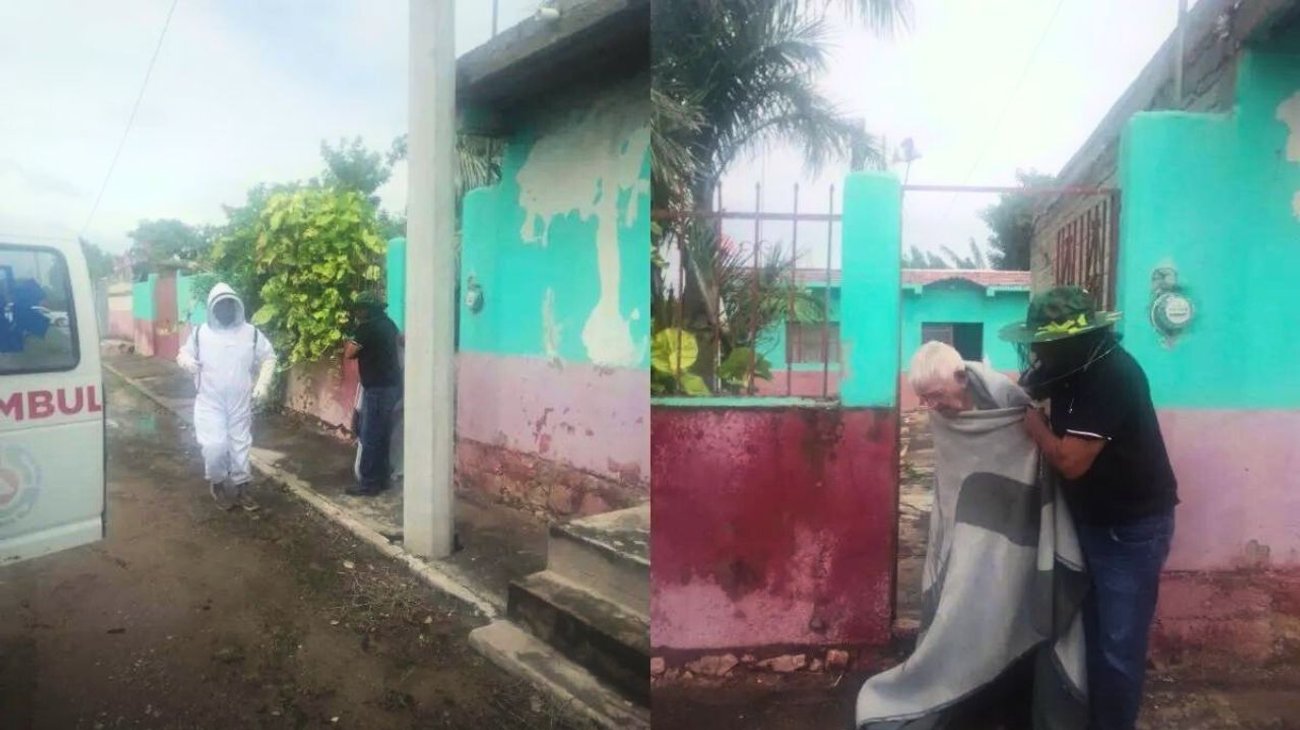 Abuelito de 80 años sufre ataque de abejas y lo hospitalizan