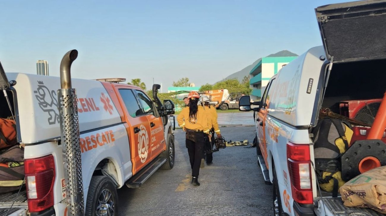 Activan 'Brigada Fénix' por incendio forestal en Zaragoza 