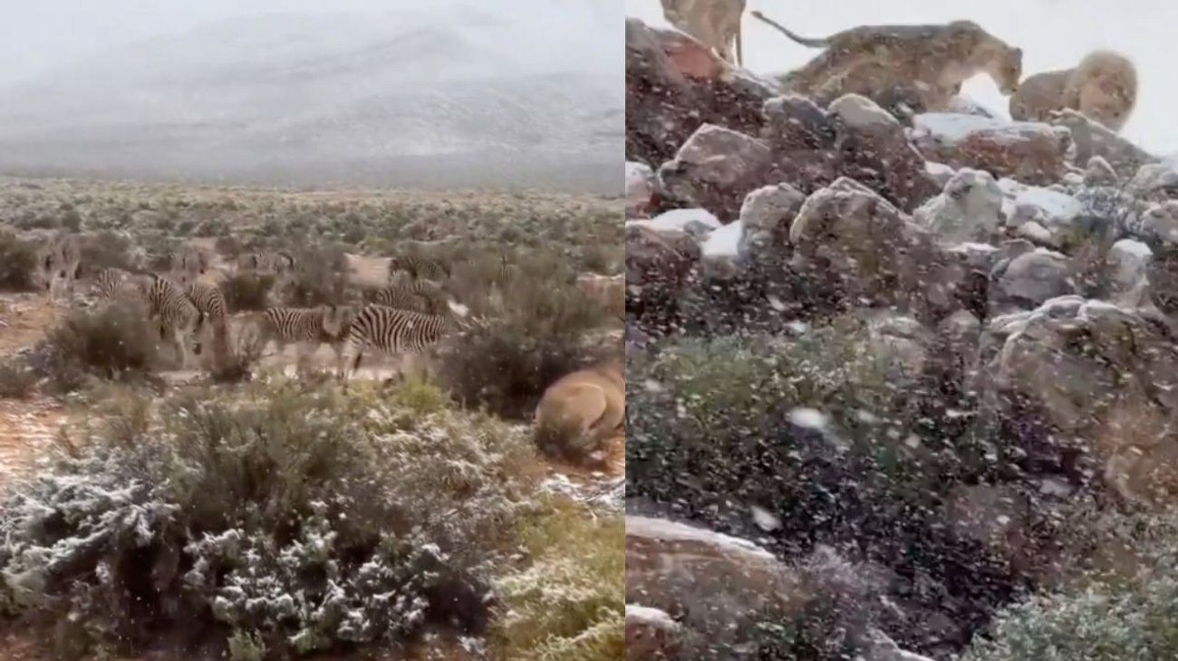 África experimenta nevadas inusuales en distintas zonas