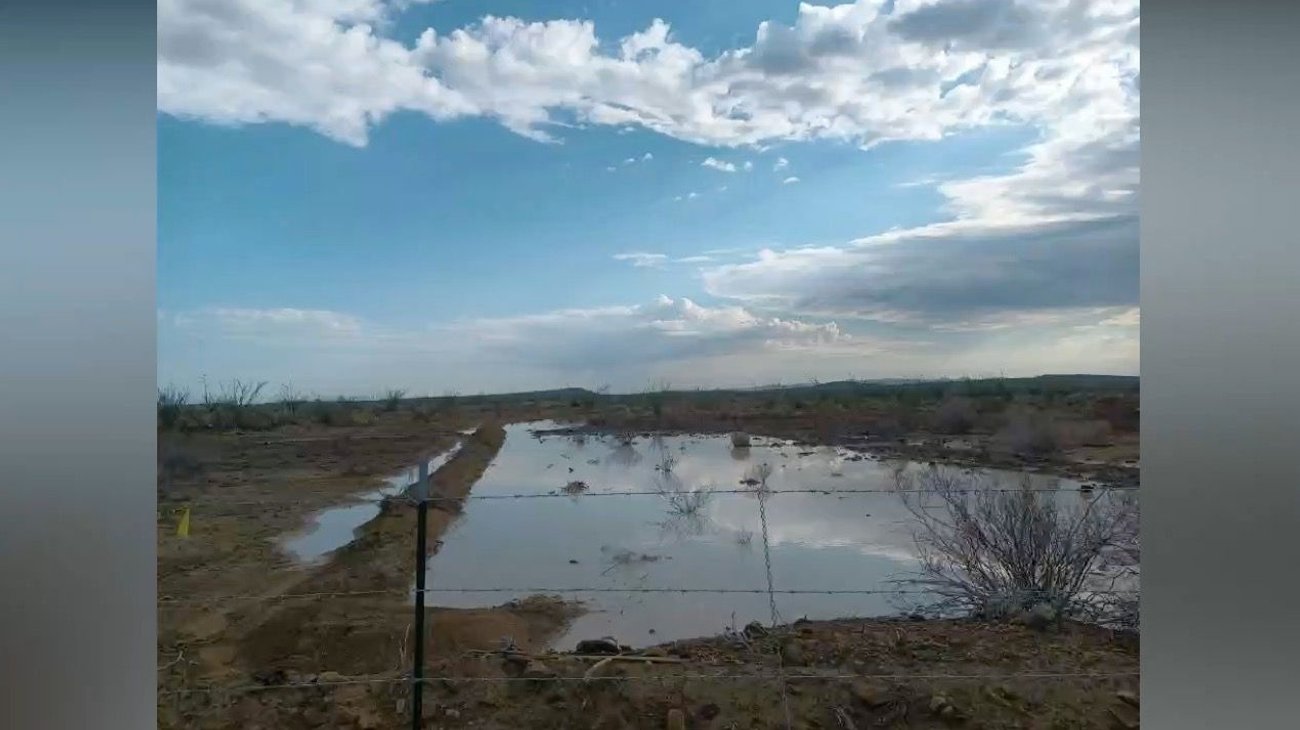 Rehabilitan agostaderos para fortalecer el campo