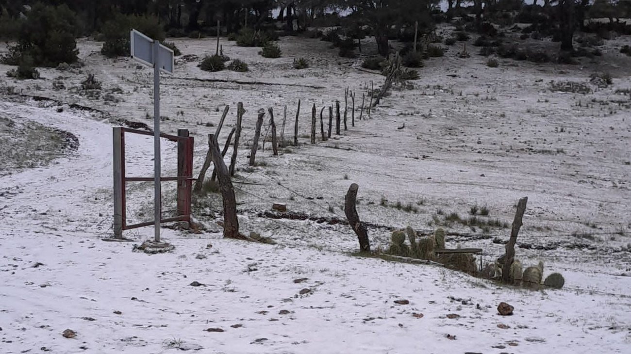 Prevén caída de nieve o aguanieve en zona alta de la región