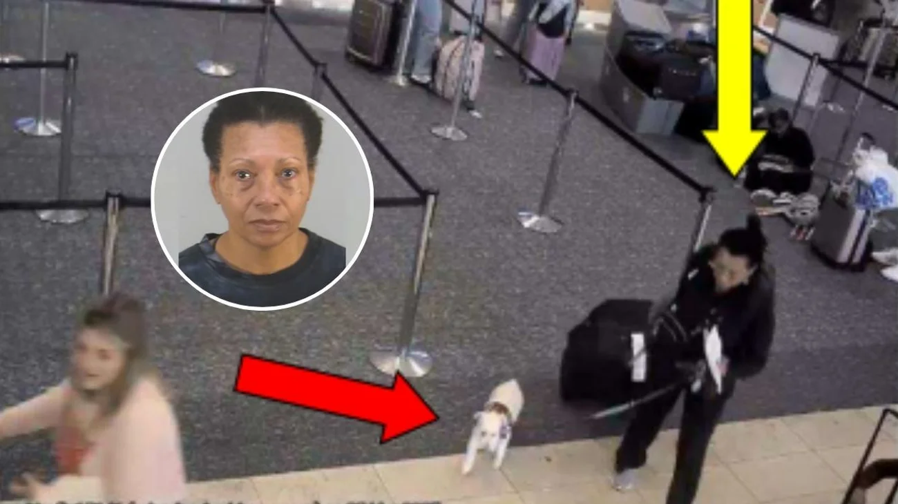 Mujer ahoga a su perro en aeropuerto para poder abordar un avión