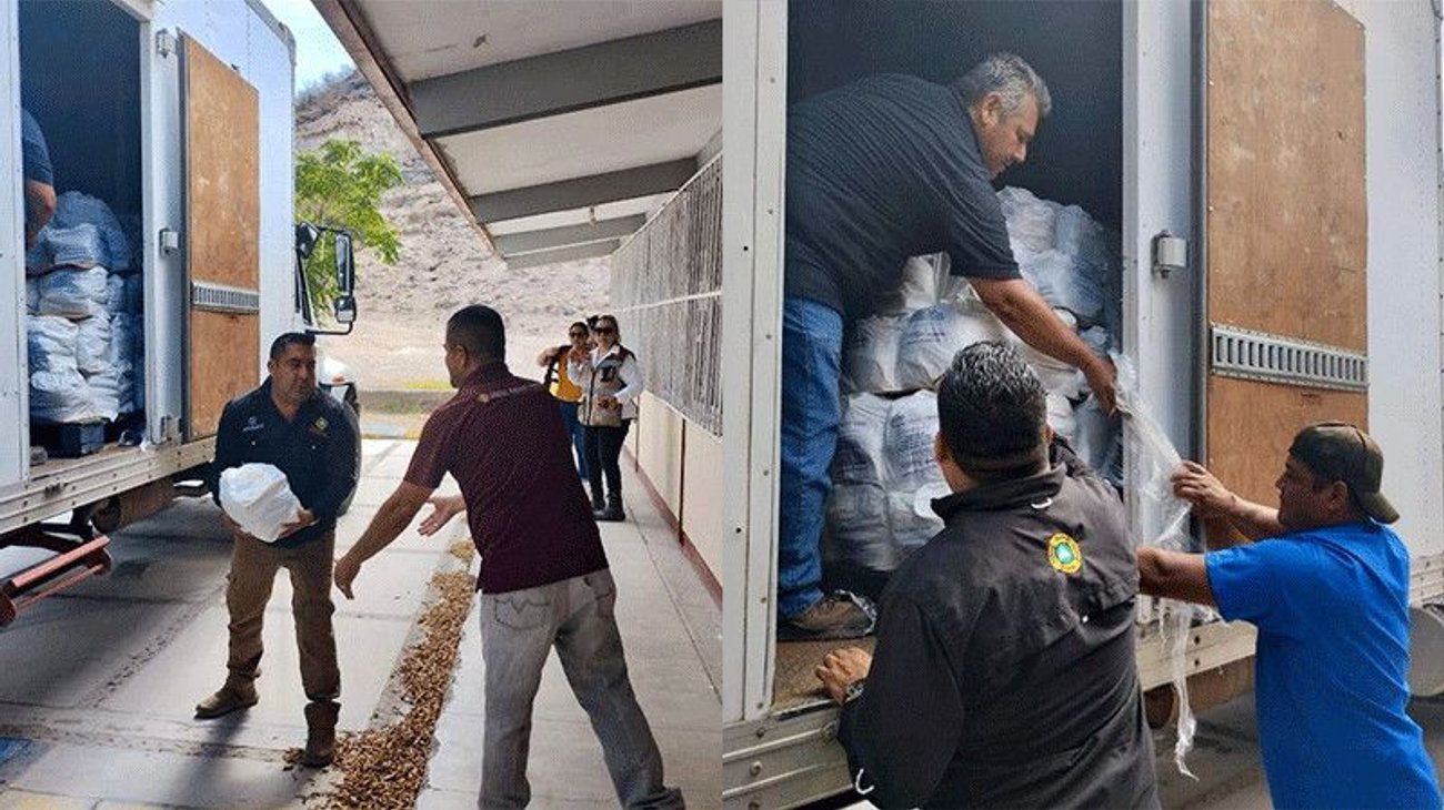 Autoridades auxilian a población ante Hilary: AMLO 