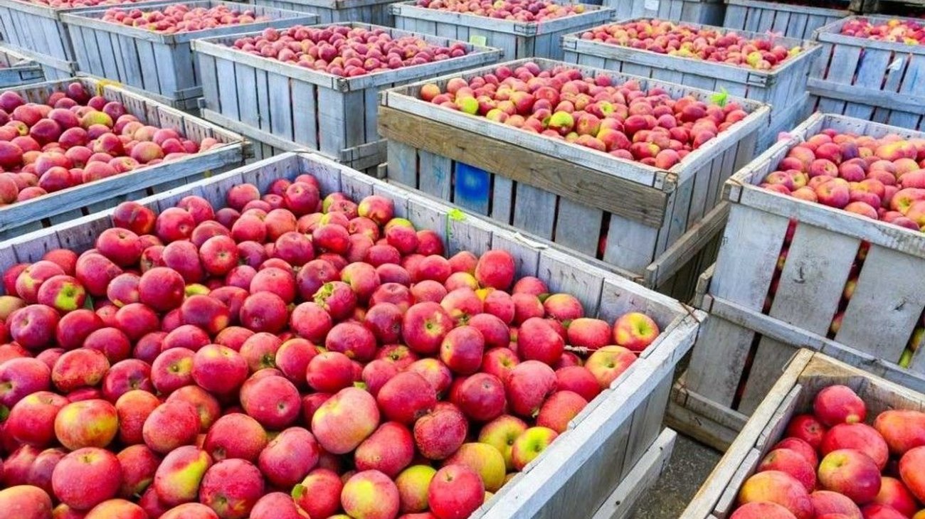 antidumping_mexico_eua_2026_4abe167f9e