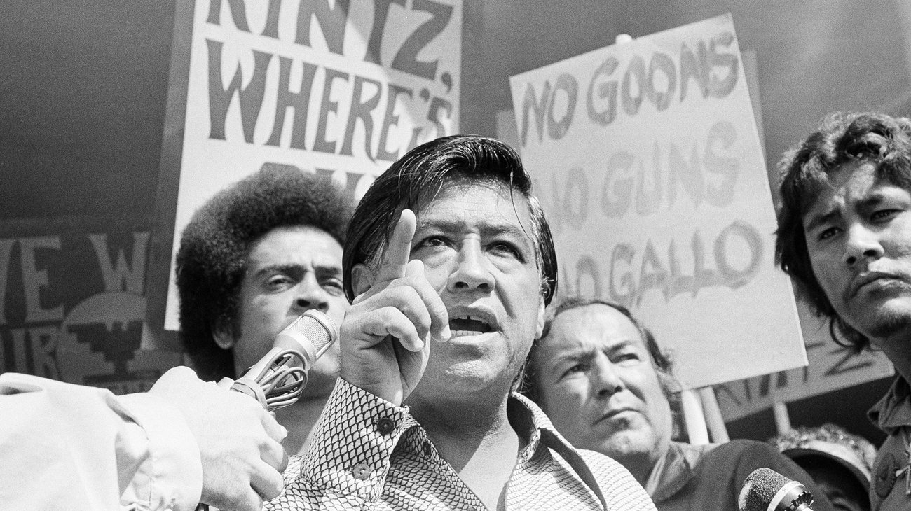 ap_7509160185_custom_032d6b8496873b459b2ff478d37e4d1a0dfc1571_9fd0a3bcf8