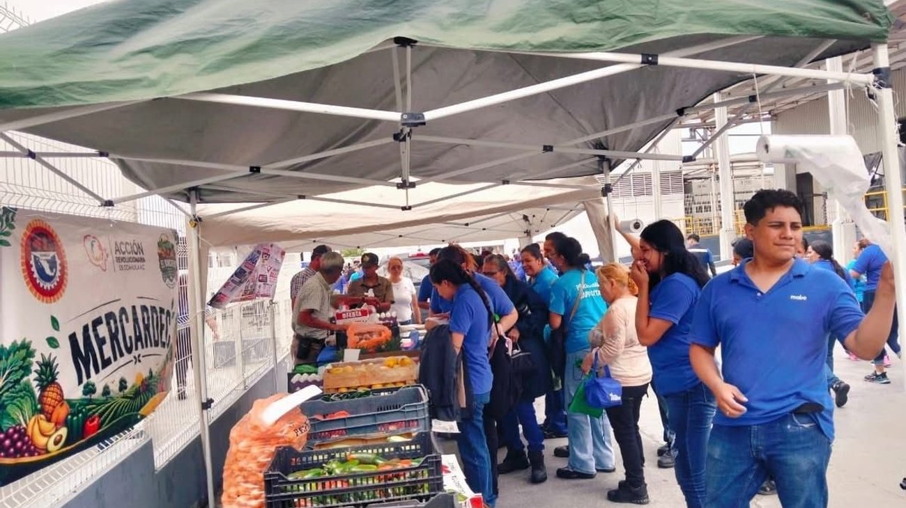 Forman organizaciones alianza para llevar apoyos sociales