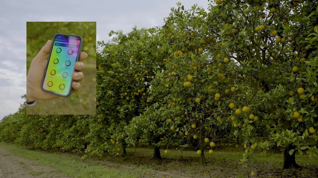 Ahorran agricultores de Linares agua mediante app para riego