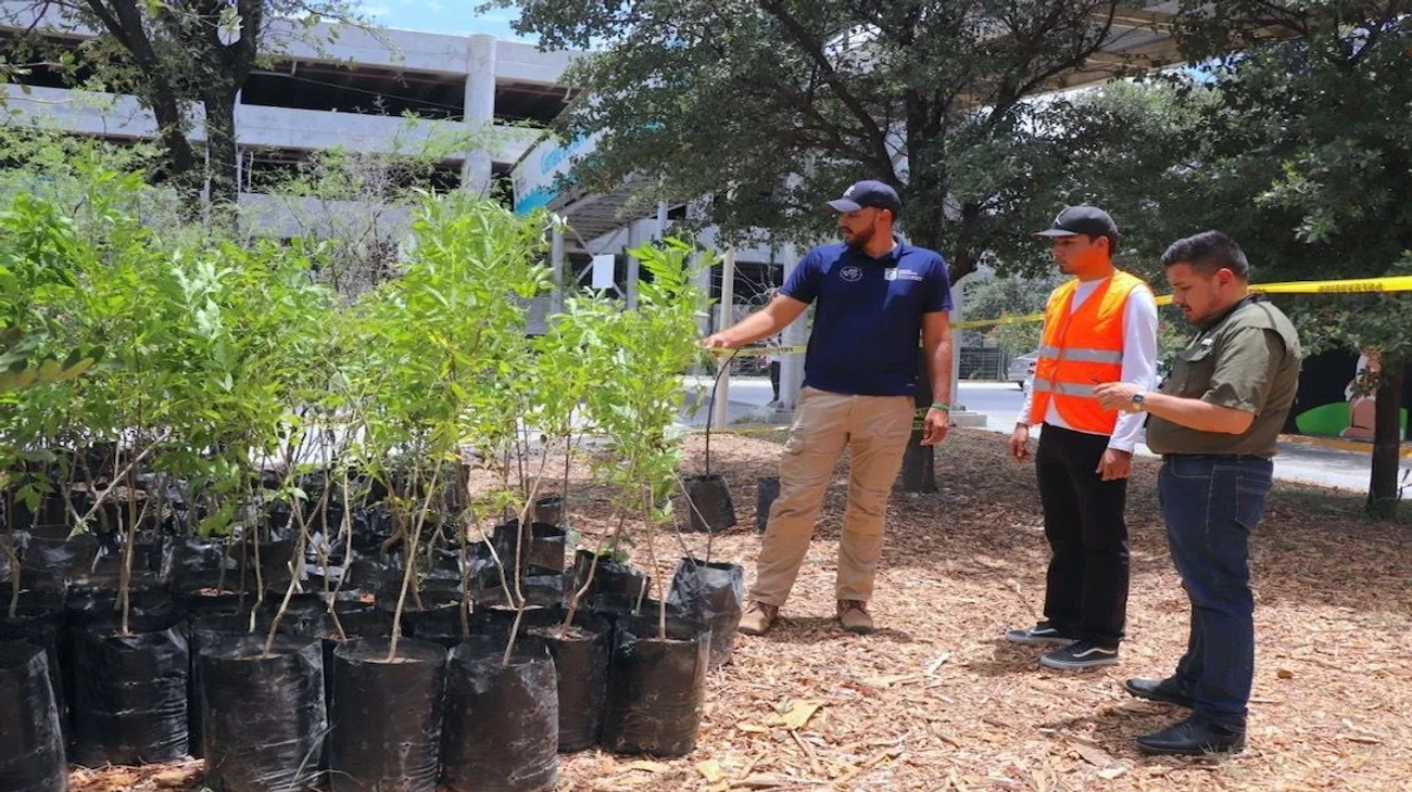 Avanza programa Bosques Ciudadanos; plantan 10 mil árboles