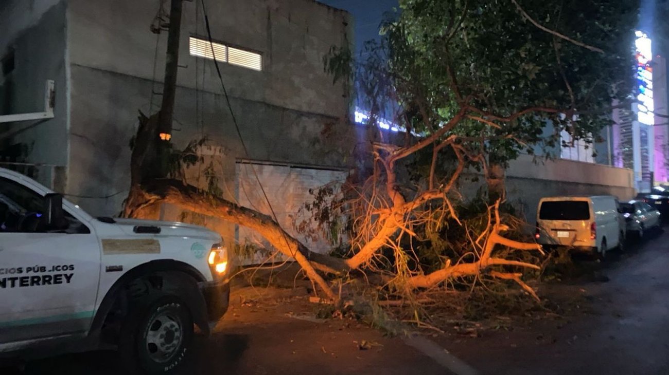 Atiende municipio de Monterrey daños por vientos