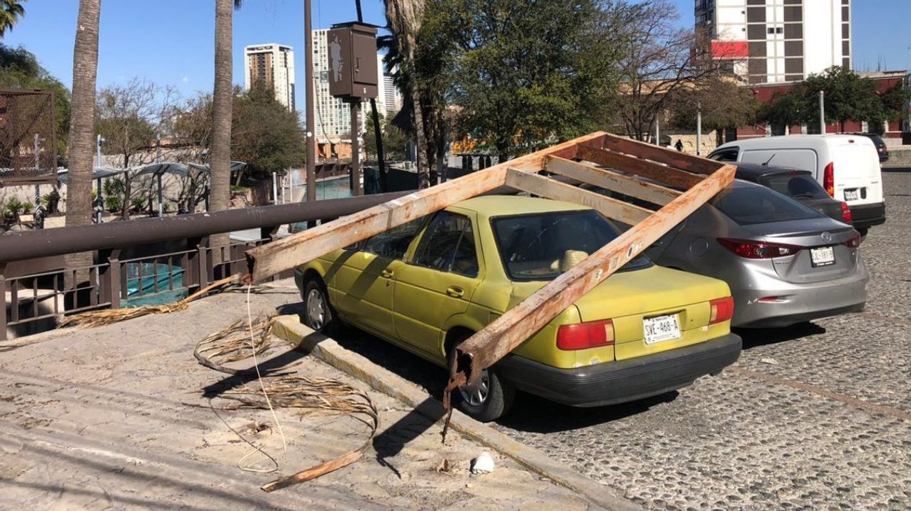 arboles_caidos_incendios_y_un_muerto_saldo_de_vientos_en_nl_ed64346ede