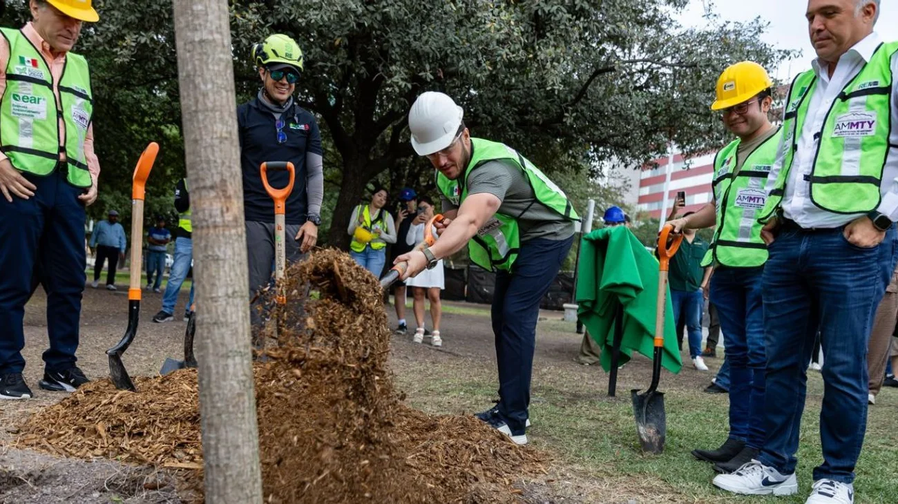 Invierte Nuevo León $300 mdp en plantar árboles; van 650,000