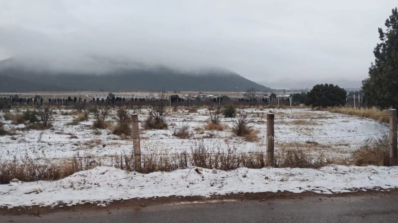 Se pinta de blanco sierra de Arteaga; restringen acceso