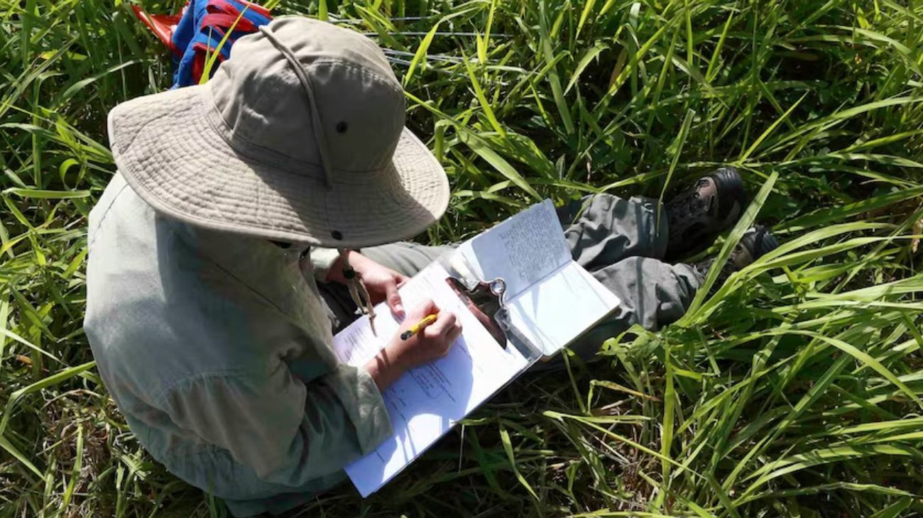 arqueologos_e4fcd9d0e5