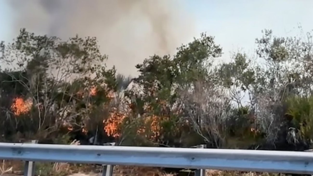 arrasa_florida_incendio_hectareas_e70b3e0553