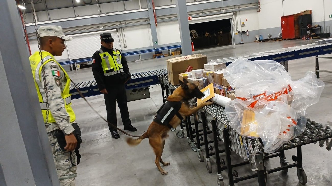 Aseguran paquetes con marihuana en Aeropuerto de Monterrey
