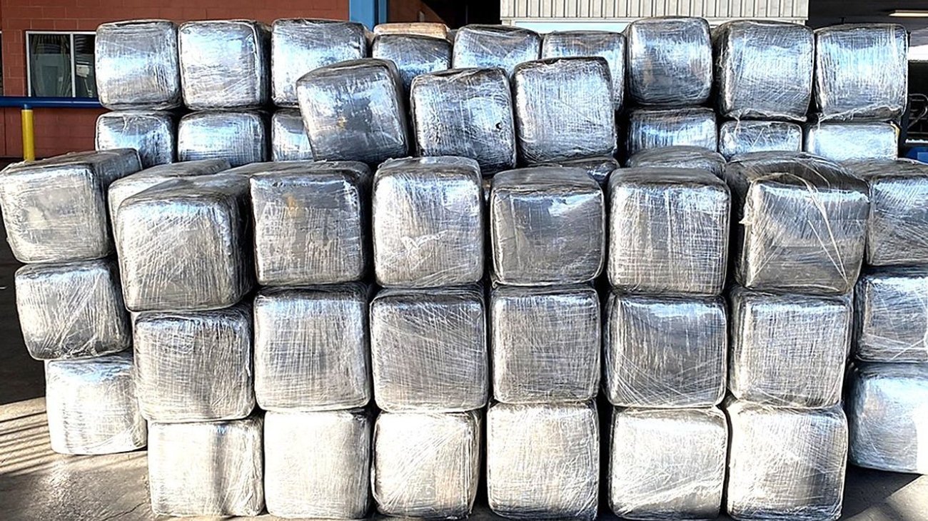 Aseguran más de 5 mdd en marihuana en Nuevo Laredo