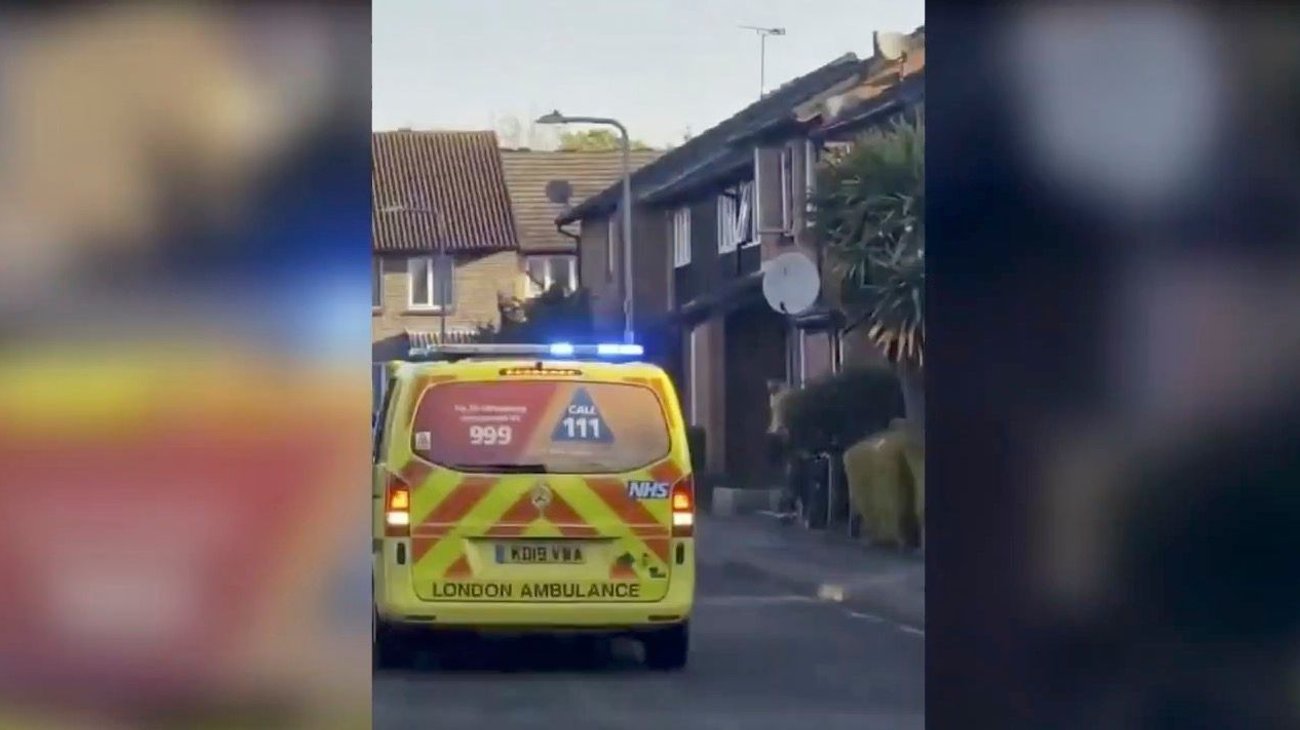 Muere menor de 14 años tras ataque con espada en Londres