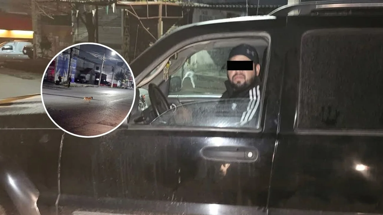 Acusan a conductor de atropellar a perrito en Santa Catarina