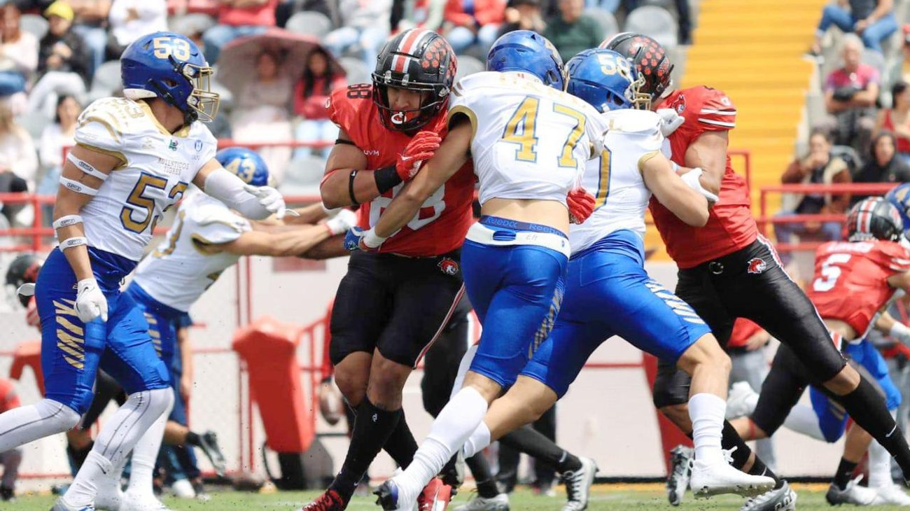 Auténticos Tigres rugen ante los Linces de la UVM