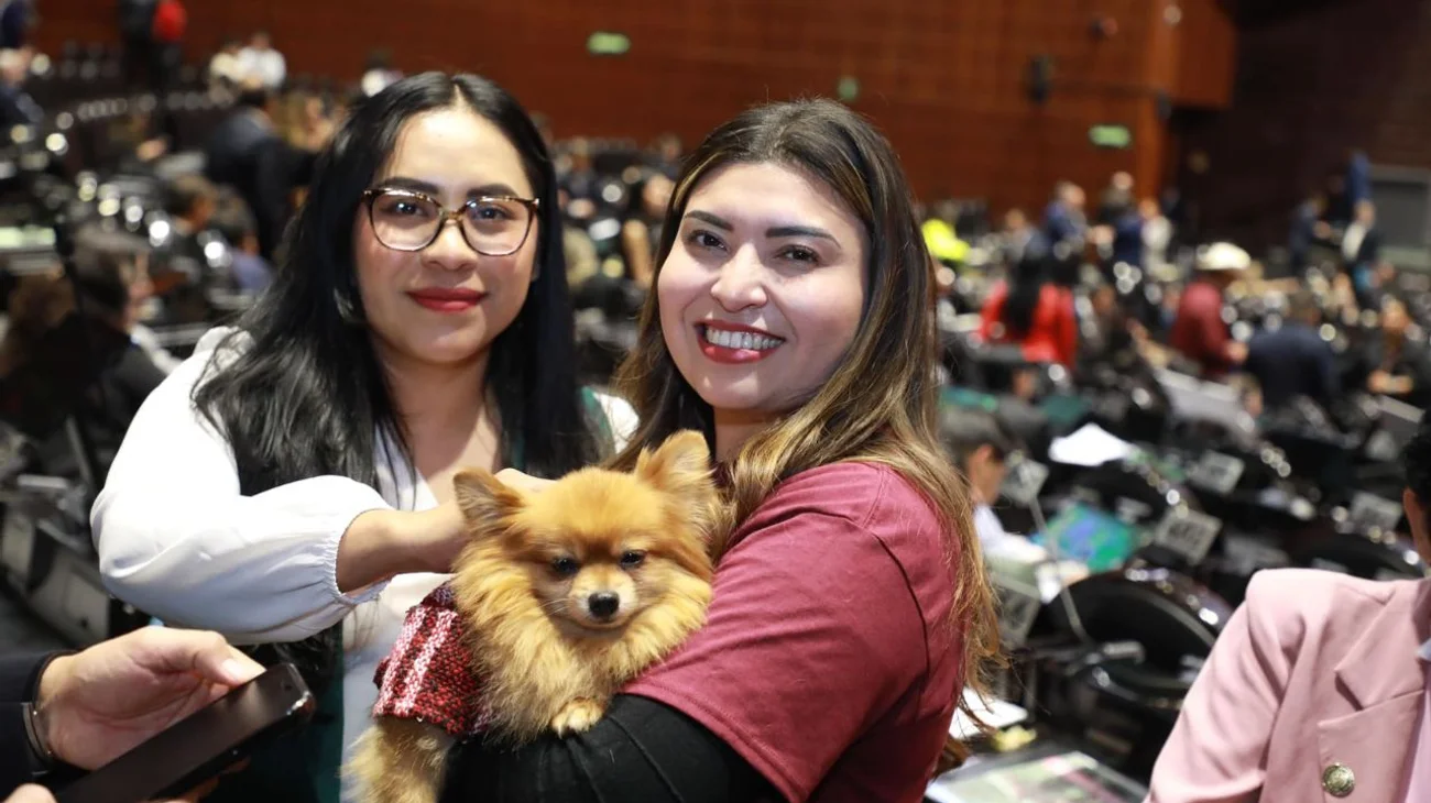 Avala Cámara de Diputados reforma para proteger animales