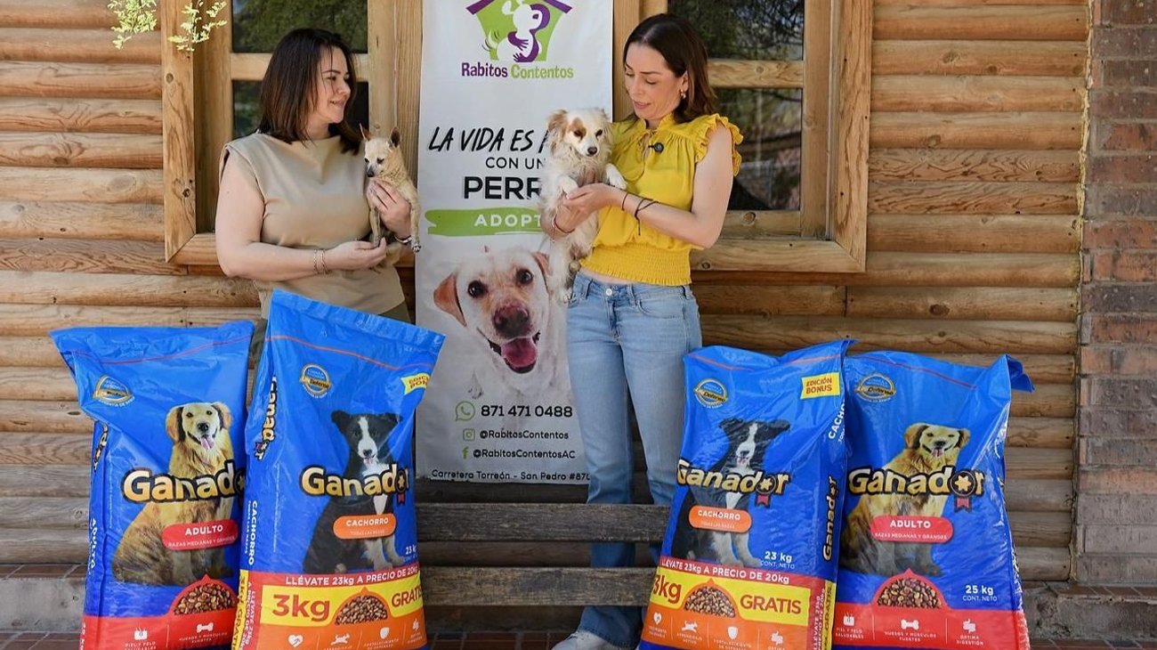 b976bc2e_7146_4ba2_960a_e31a77764309_7e0bb12afb