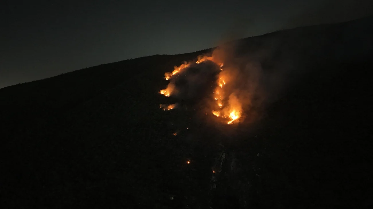 b9f1bc85_f07d_4917_95f0_b5b9f1d551c6_65f48b6087