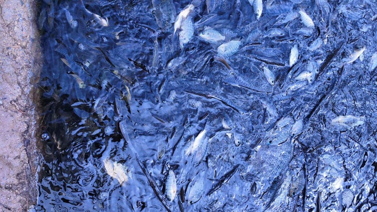 b9f29cdc_3364_4d5c_9149_07c4907d3faa_eca9bcef05