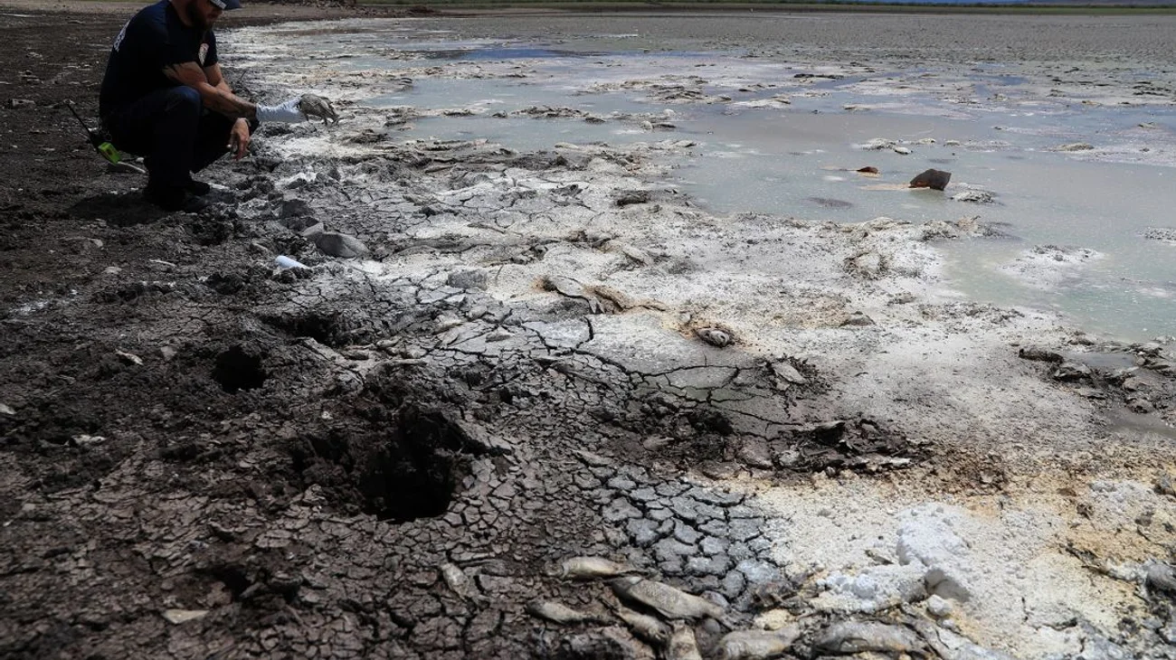 Tres lagunas secas y peces muertos por sequía en Chihuahua