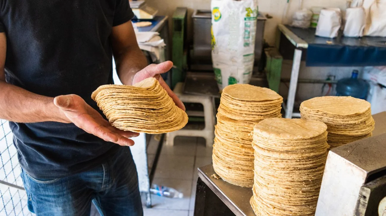 Gobierno de Sheinbaum promete bajar el precio de la tortilla