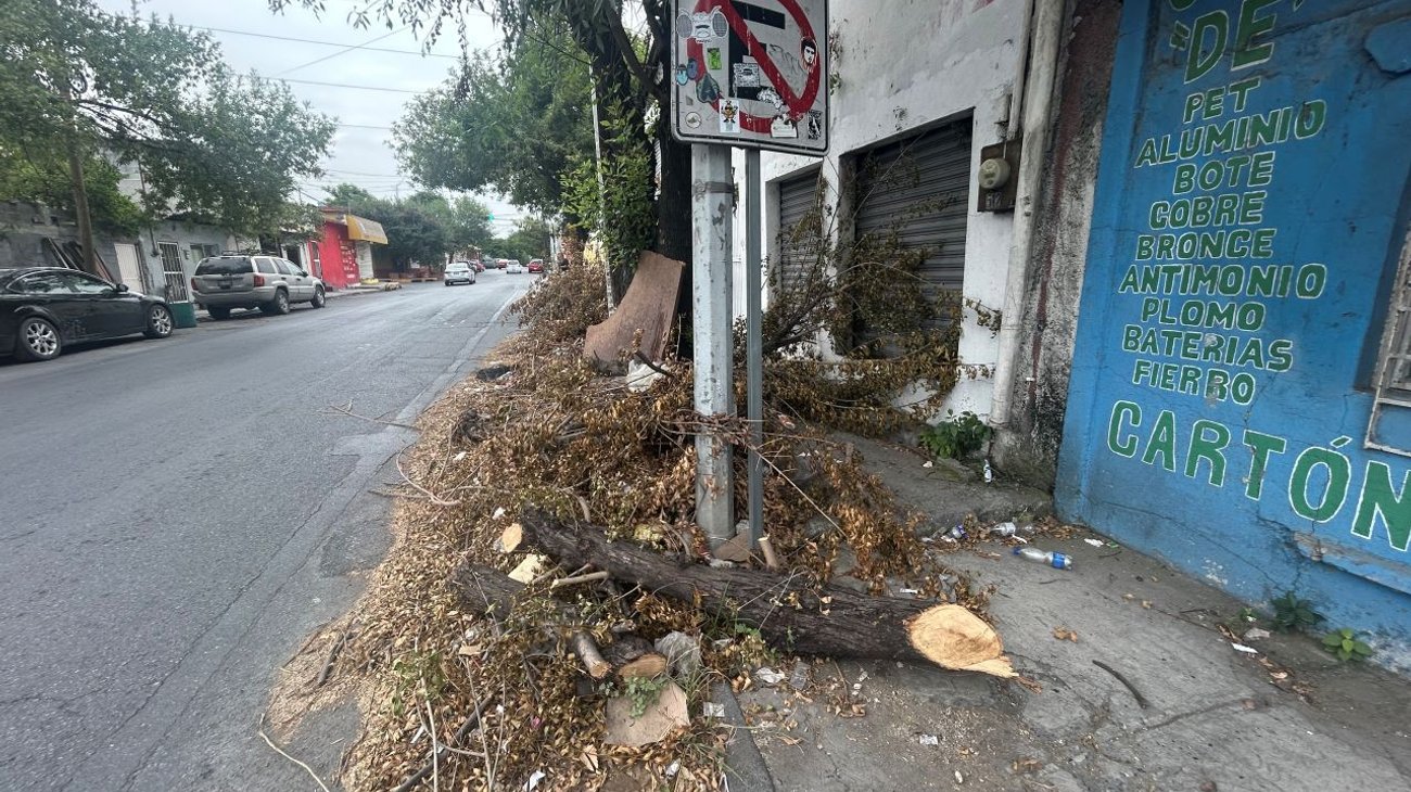 Obstruyen ramas y basura banqueta en la Independencia