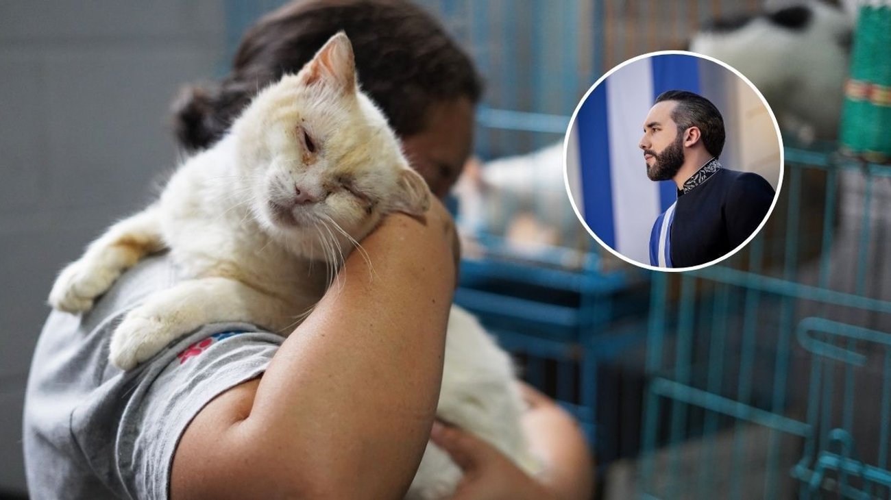 bukele_salvador_510c987416