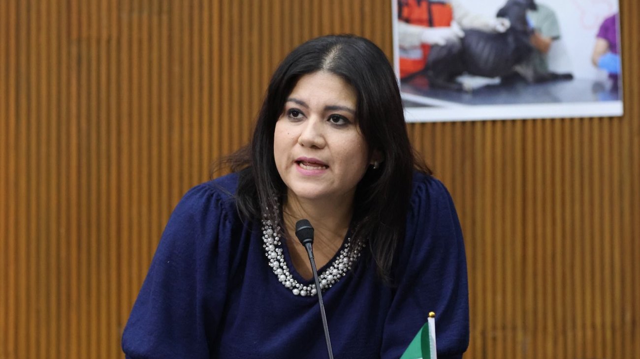 Buscan aumentar licencia de maternidad a seis meses