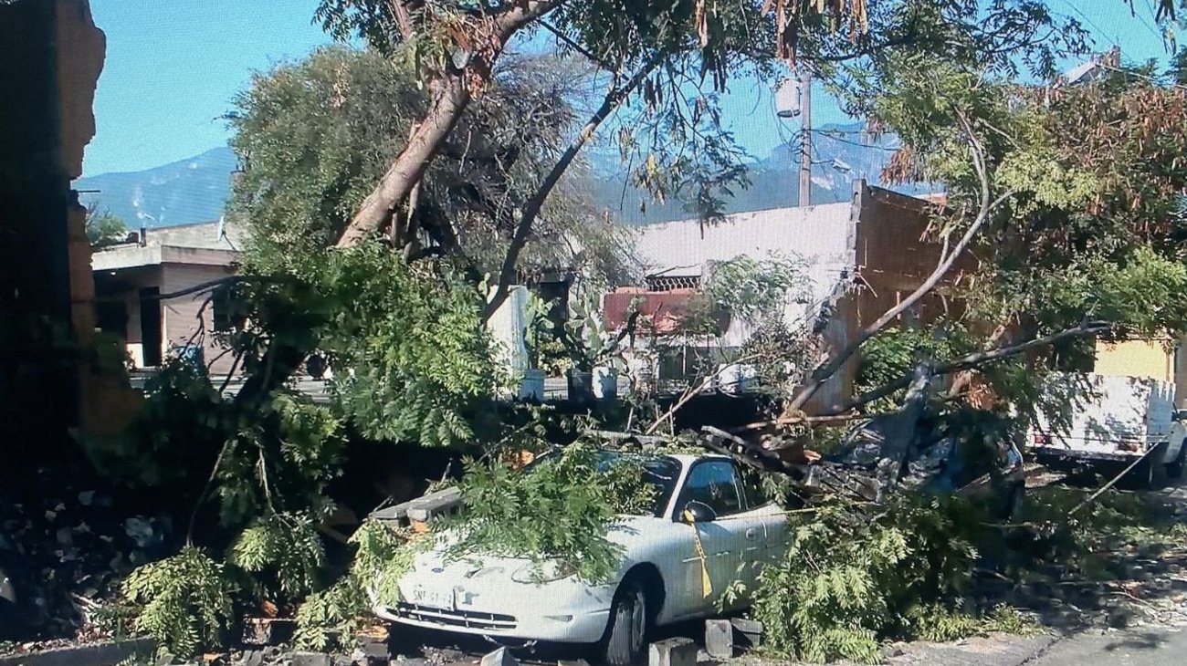 Tras fuertes lluvias, barda colapsa sobre vehículos