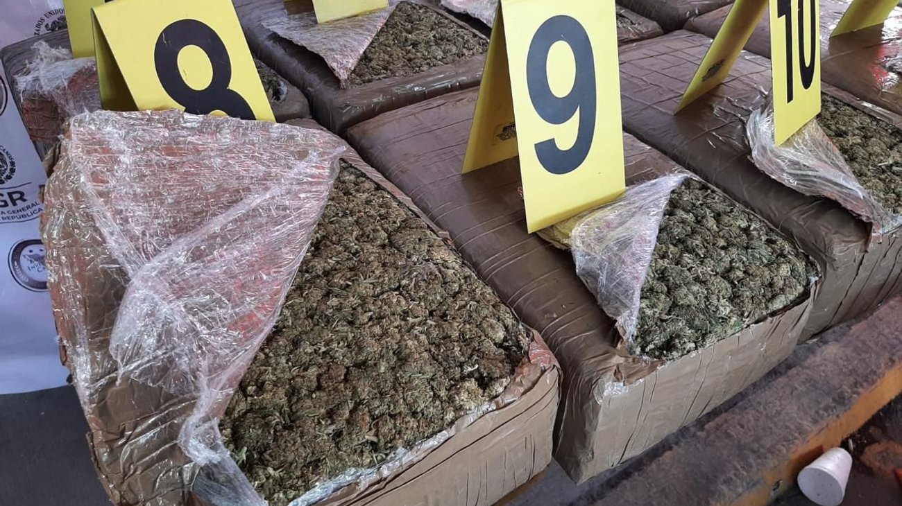 Caen cinco distribuidores de droga en Apodaca