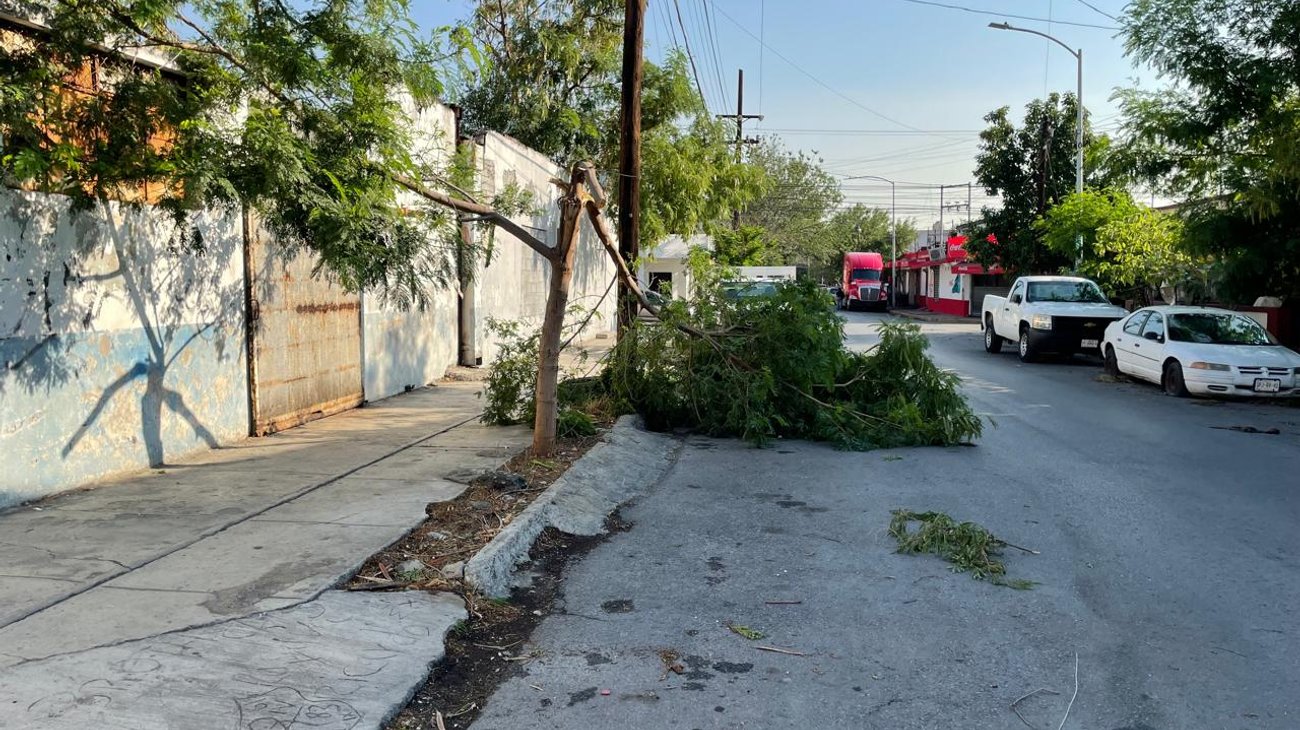 Atiende Protección Civil NL 418 reportes por lluvias 
