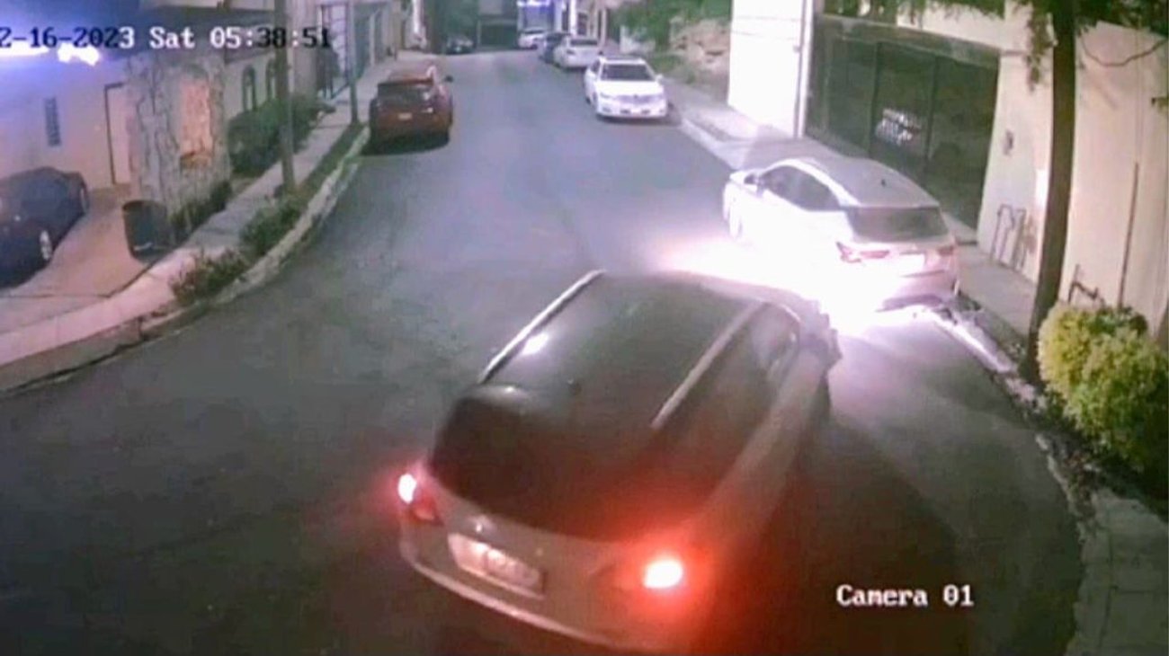  Choca vehículo, mata gato y se da a la fuga en Monterrey