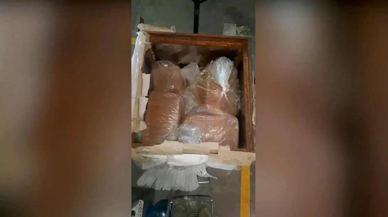 Aseguran cargamento de marihuana en General Bravo