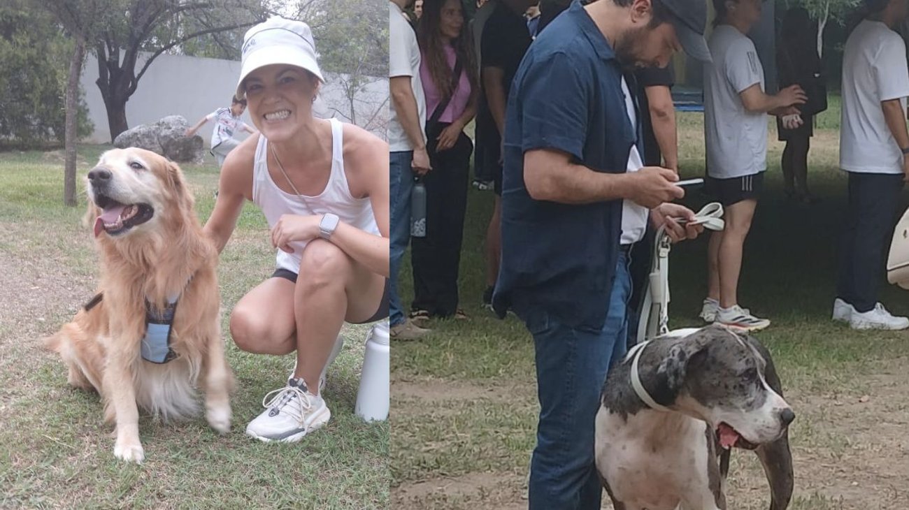 Cargan sampetrinos hasta con 'el perro' para ir a votar