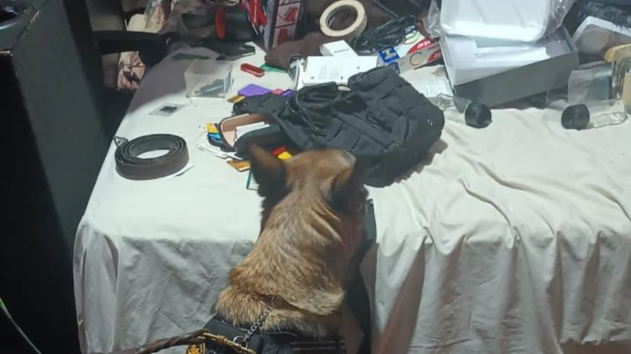 Cateo en Apodaca por presunto narcomenudeo deja 5 detenidos