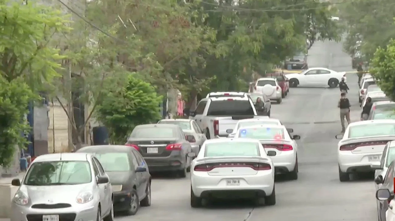 cateo_casa_ataque_pollos_8f8b82ea21