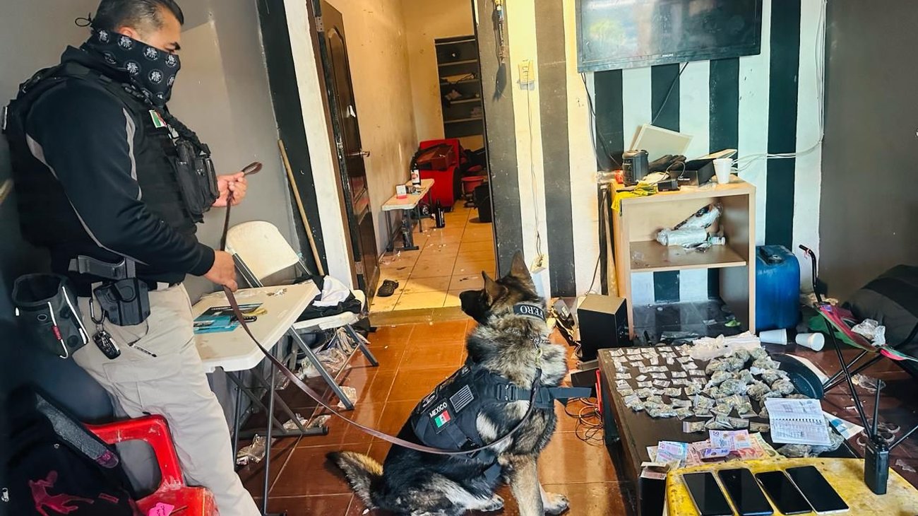 Detienen a 1 menor y 5 adultos durante cateo en Apodaca