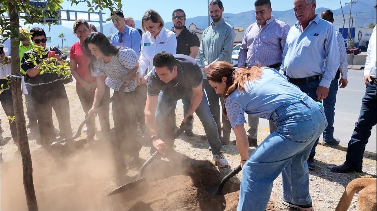 Realizan mega reforestación en bulevar Fundadores, de Saltillo