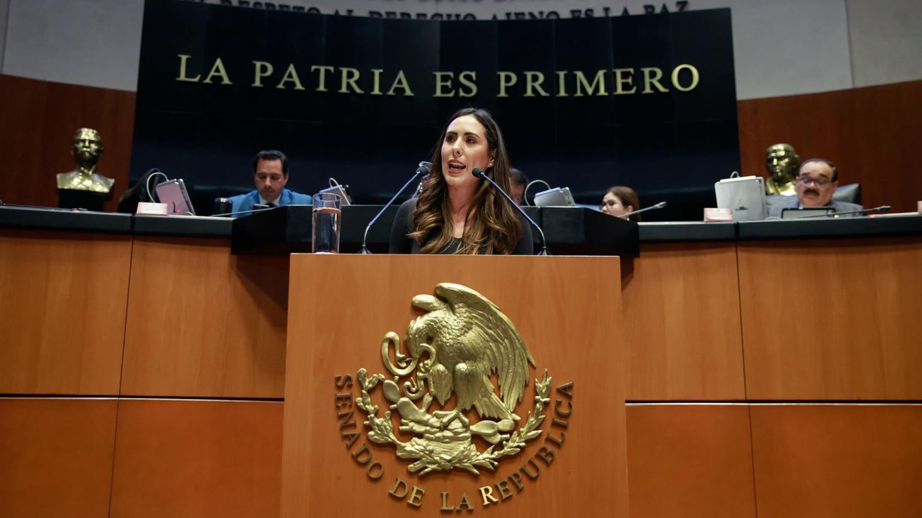 Cecilia Guadiana pide licencia durante debate en el Senado