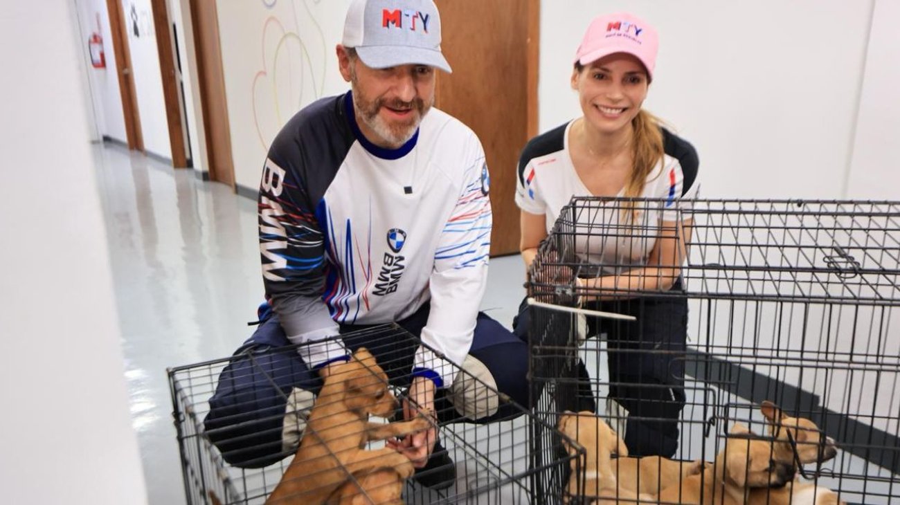 'Chihuatón' brinda hogar a 50 perritos rescatados en Monterrey