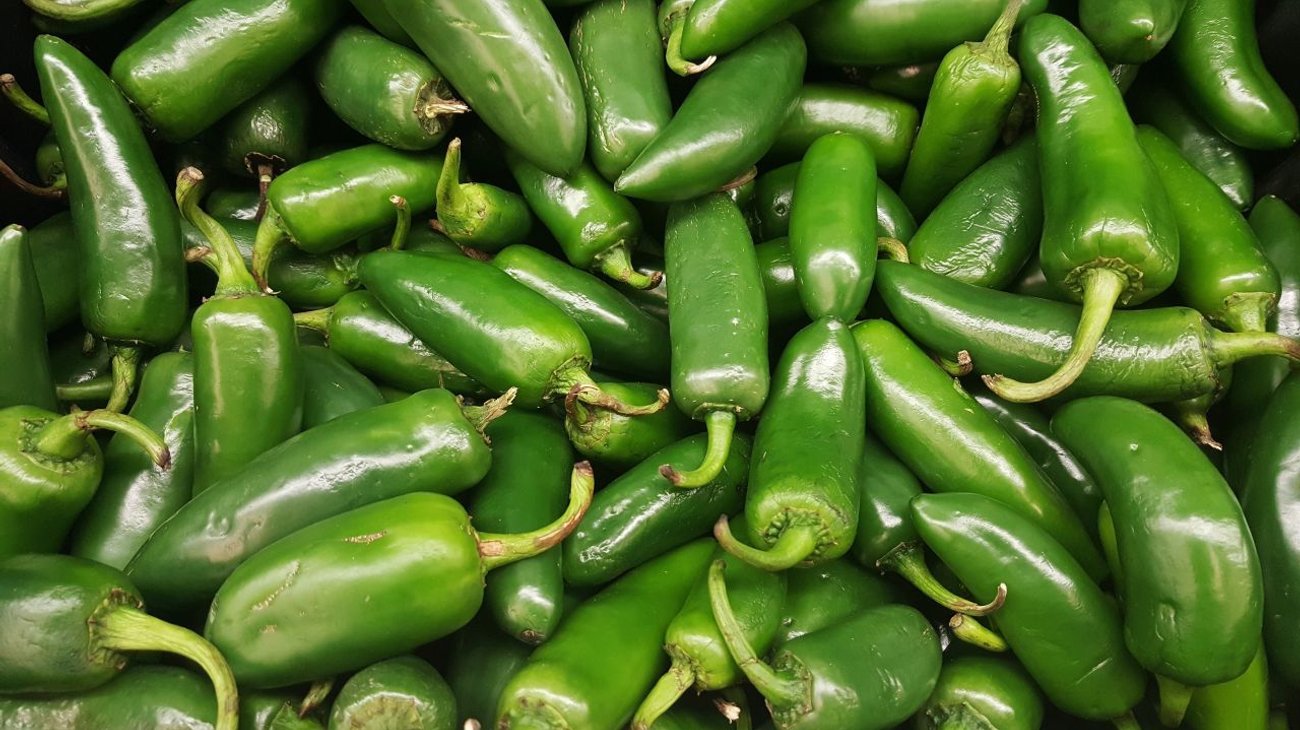 Investiga Salud brote de salmonelosis ligado a jalapeños